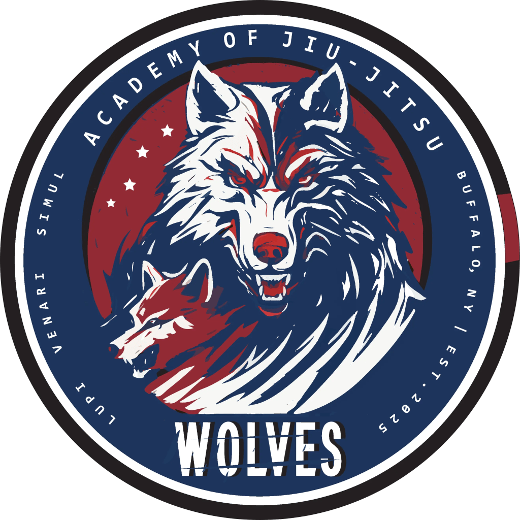 BJJ martial arts buffalo ny, kids judo mma karate tae kwon do , kenmore