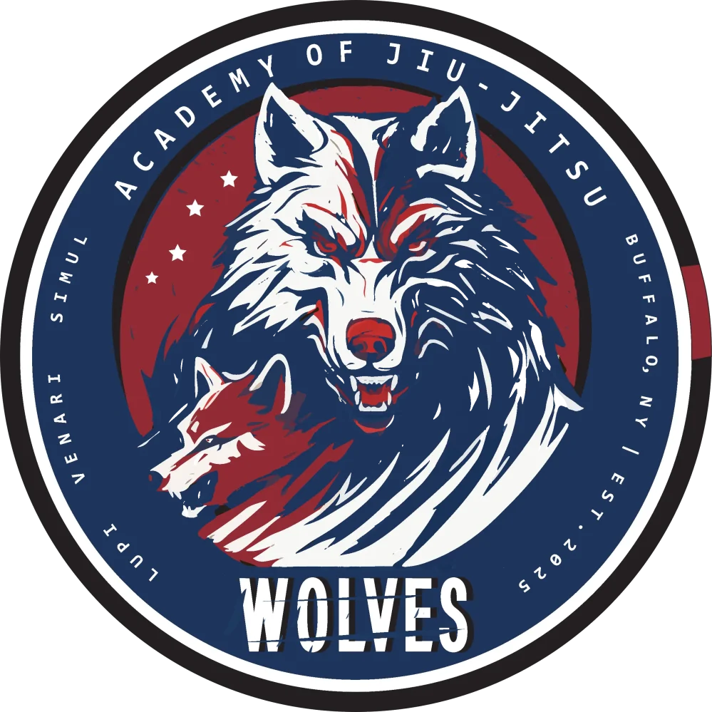 BJJ martial arts buffalo ny, kids judo mma karate tae kwon do , kenmore